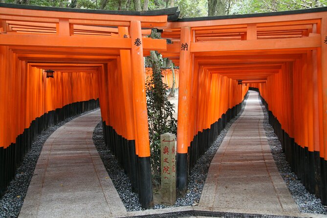 PERFECT KYOTO 1-Day Bus Tour - Kiyomizu-dera and Kyoto from the hillside