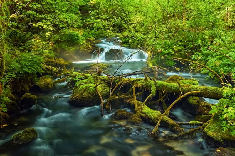 Plitvice Lakes: Guided Walking Tour with Bus and Boat Ride - Why Plitvice Lakes deserves a full day