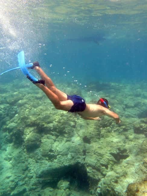 Polis: Blue Lagoon Boat Tour with bus from Paphos - Key points at a glance