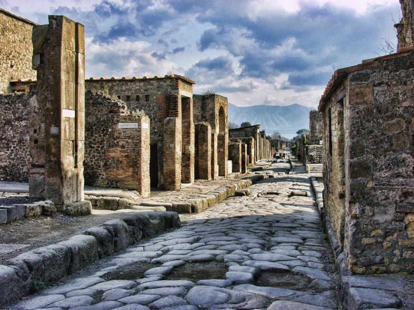 Pompeii Half-Day Coach Tour from Sorrento - The Garden of the Fugitives and the eruption of Vesuvius