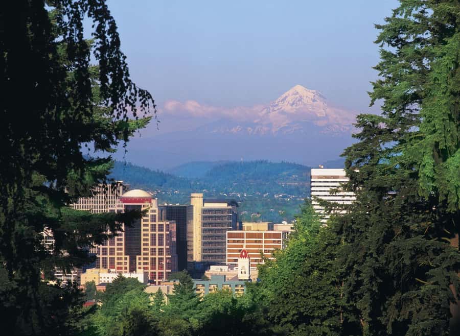 Portland, Oregon: Pink Trolley Hop-On Hop-Off Tour - Stop 4: The 23rd Avenue shopping district