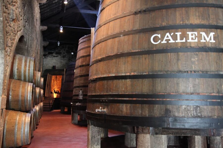 Porto: Hop-on Hop-off Bus with Optional Cruise & Wine Cellar - Why this pass works well in hilly Porto