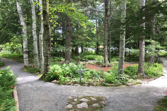 Premium Narrated Bus Tour of Bar Harbor and Acadia National Park (3.5 Hours) - Sieur de Monts Spring and Acadia’s beginnings