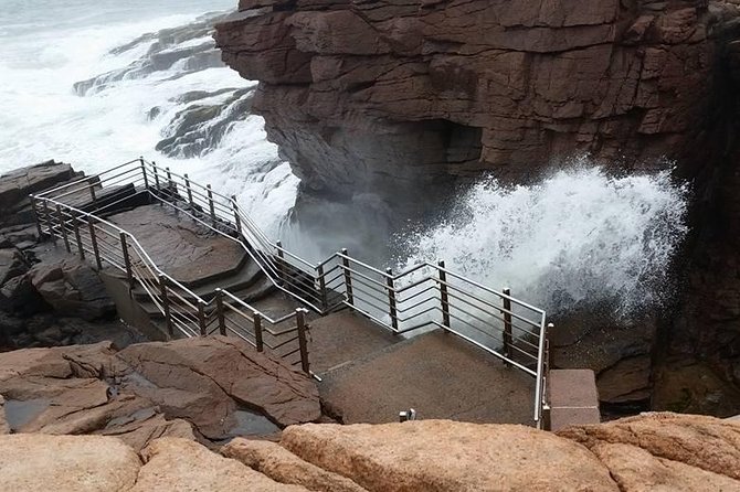 Premium Narrated Bus Tour of Bar Harbor and Acadia National Park (3.5 Hours) - Price and value at $99.36