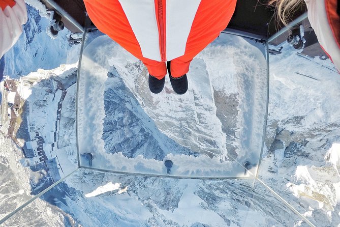 Private Tour to Chamonix Mont-Blanc Scenic Glass-Roof Bus - Price, group size, and what you are really paying for