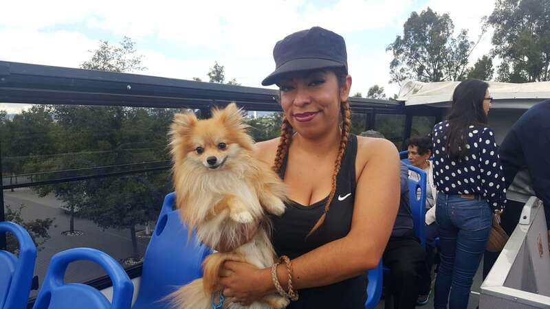 Puebla Sightseeing Tour by Double-Decker Tram - Why the open-top upper deck matters