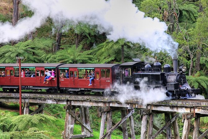 Puffing Billy And Phillip Island Penguin Parade Bus Tour - Why this Melbourne day trip works