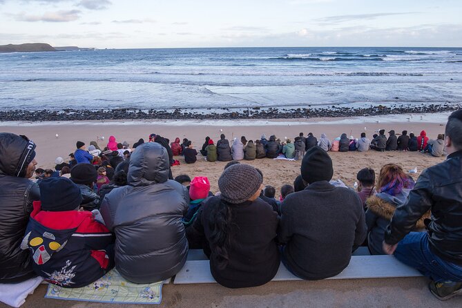 Puffing Billy And Phillip Island Penguin Parade Bus Tour - How the guides affect the day