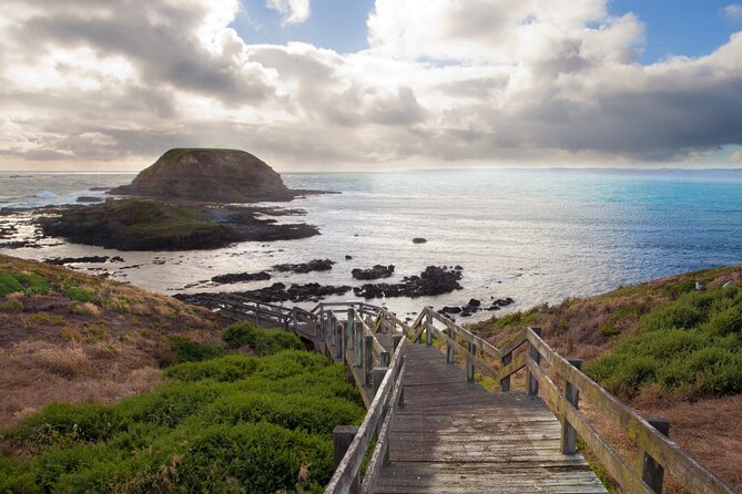 Puffing Billy And Phillip Island Penguin Parade Bus Tour - What to bring for the day