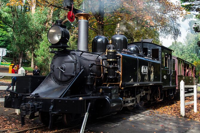 Puffing Billy And Phillip Island Penguin Parade Bus Tour - Puffing Billy through the Dandenong Ranges