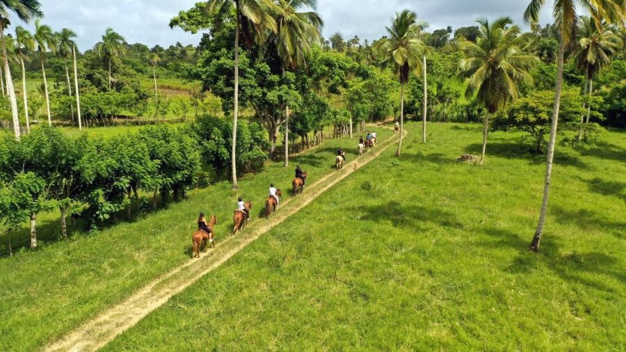 Punta Cana: Xploration Animal Park Bus Tour with Encounters - Horse riding and feeding time