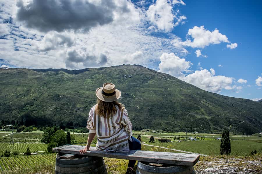 Queenstown & Gibbston Valley: Hop-On Hop-Off Wine Tours - Queenstown and Arthur’s Point: start with more than wine