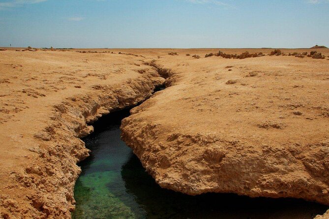 Ras Mohamed National Park Half Day Tour by Bus In Sharm El Sheikh - Mangroves, salt marshes, and Earthquake Crack