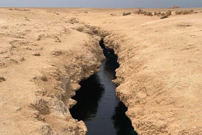 Ras Mohamed National Park Half Day Tour by Bus In Sharm El Sheikh - How the four-hour schedule really feels