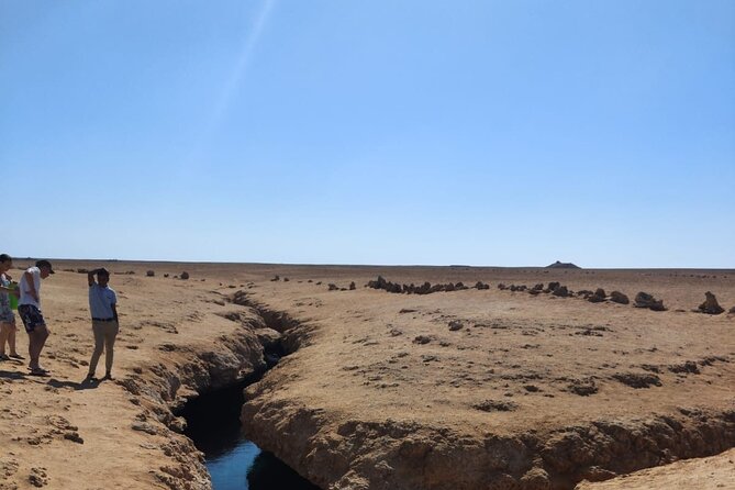 Ras Mohamed National Park Half Day Tour by Bus In Sharm El Sheikh - Group size, guiding, and language