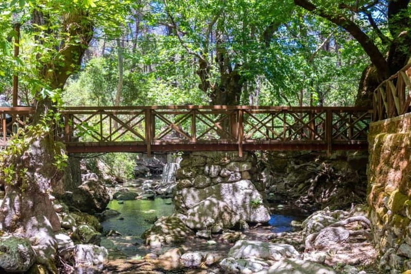 Rhodes: Butterfly Valley and Filerimos Hill Bus Trip - Filerimos Hill and ancient Ialyssos