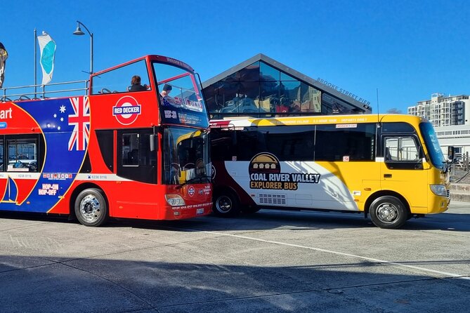 Richmond Village & Red Decker hop-on hop-off - Key points to know before booking