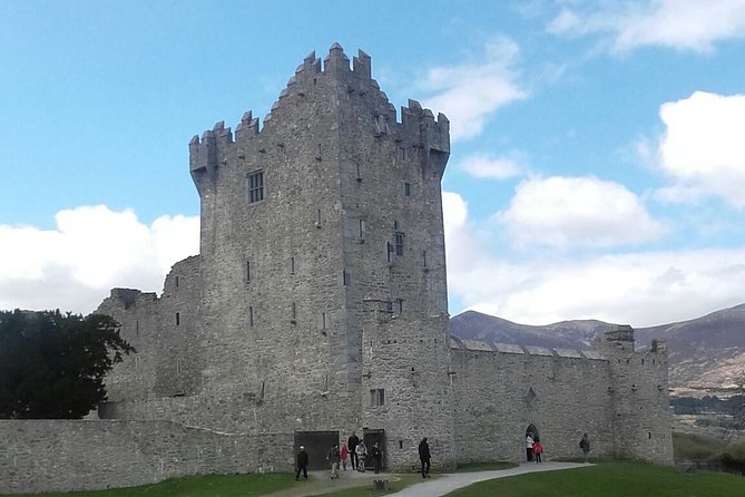Ring of Kerry & Skellig Ring - Private Mini Bus Tour - Key points to know before booking