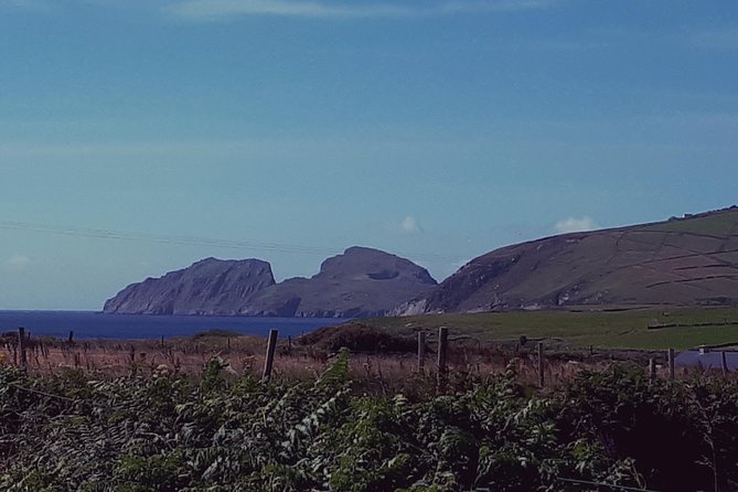 Ring of Kerry & Skellig Ring - Private Mini Bus Tour - Moll’s Gap offers a quick mountain pause