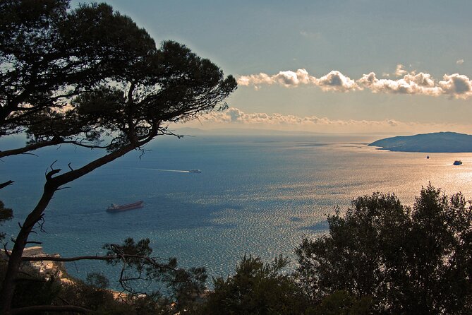 Rock Tour in Gibraltar by Bus with Tickets - Inside St. Michael’s Cave