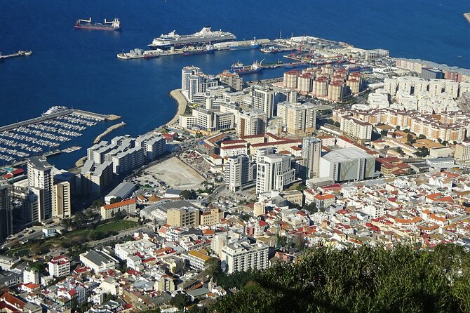 Rock Tour in Gibraltar by Bus with Tickets - Meeting Gibraltar’s apes at Apes Den