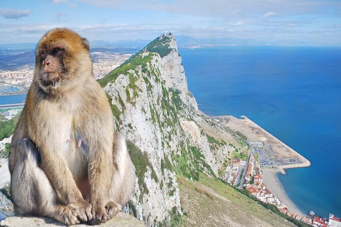 Rock Tour in Gibraltar by Bus with Tickets - How much guiding will you get?
