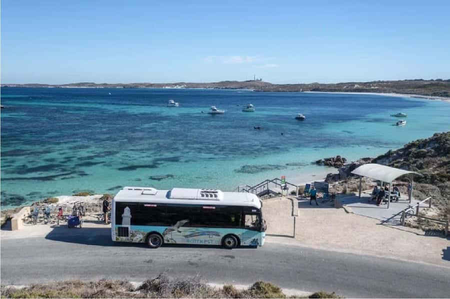 Rottnest Island Ferry and 1.75 Hr Bus Tour - Key points to know before you book