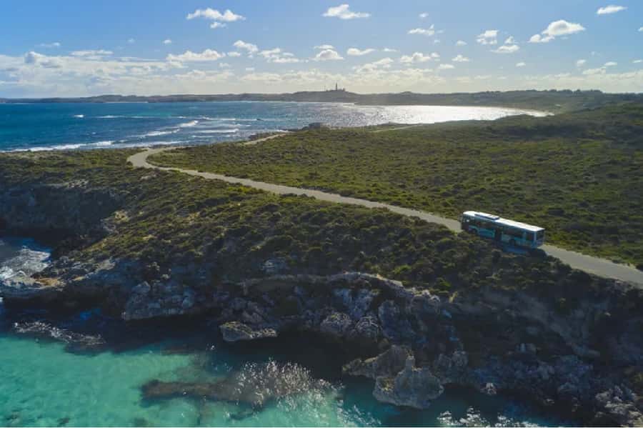 Rottnest Island Ferry and 1.75 Hr Bus Tour - Why this Rottnest day trip works well