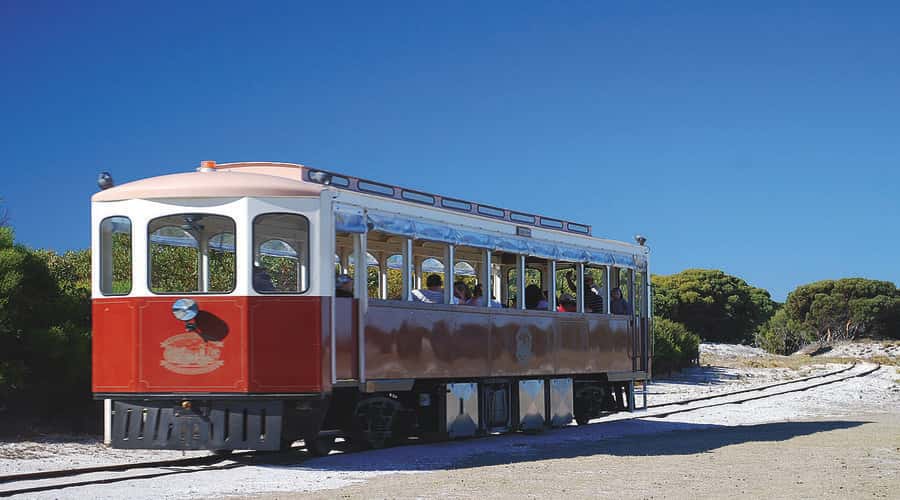 Rottnest Island: Grand Bus and Train Tour with Lunch - Why this tour works for a first day on Rottnest