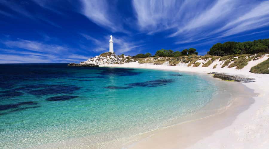 Rottnest Island: Grand Bus and Train Tour with Lunch - Meeting at Settlement Railway Station