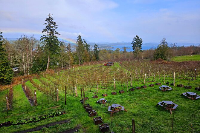 Salt Spring Island "Artisan Trail" Hop On Hop Off Tour! - Ciderworks turns heritage apples into the main event