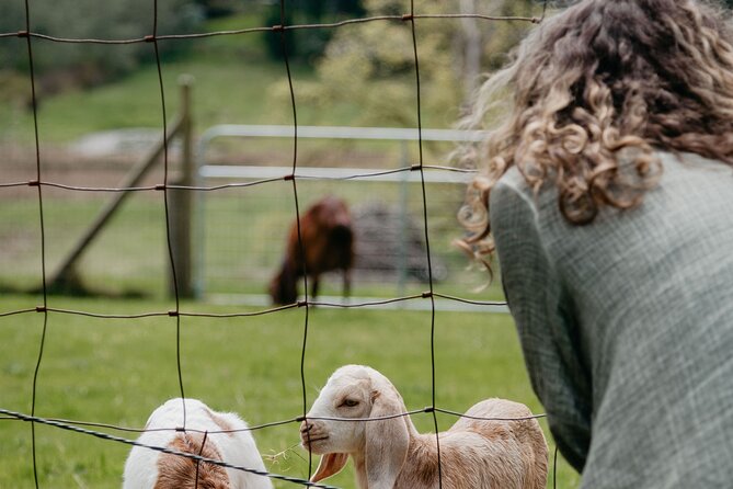 Salt Spring Island "Artisan Trail" Hop On Hop Off Tour! - The tour suits independent food lovers