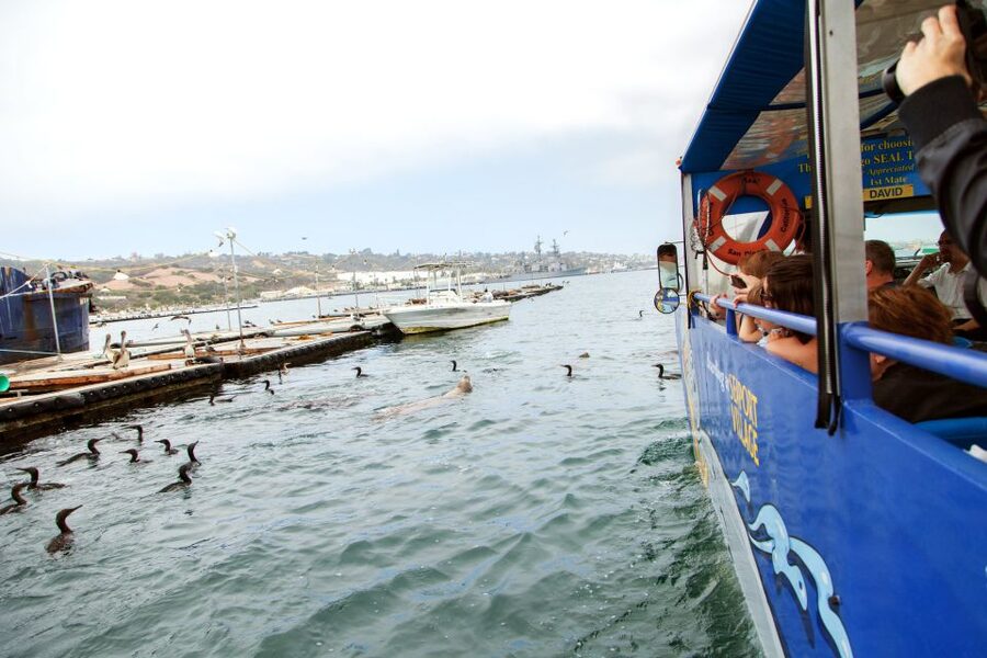 San Diego: SEAL City Tour by Amphibious Bus - Final verdict: a fun first look at San Diego