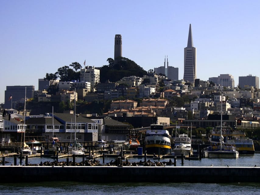 San Francisco: Hop-On Hop-Off City Bus Tour and Bay Cruise - Start at 99 Jefferson Street near Fisherman’s Wharf