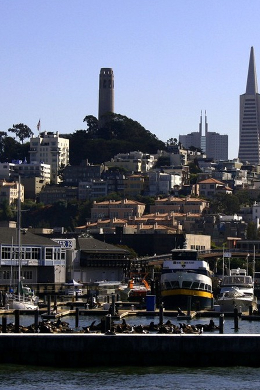 San Francisco: Hop-On Hop-Off City Bus Tour and Bay Cruise - A few practical ways to improve the day