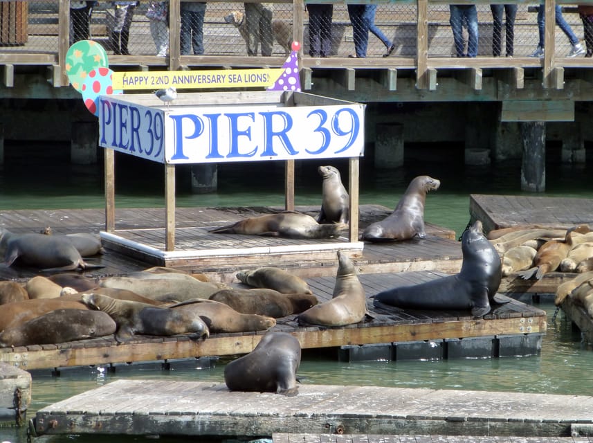 San Francisco: Hop-On Hop-Off City Bus Tour and Bay Cruise - Should you book the San Francisco bus and Bay cruise?