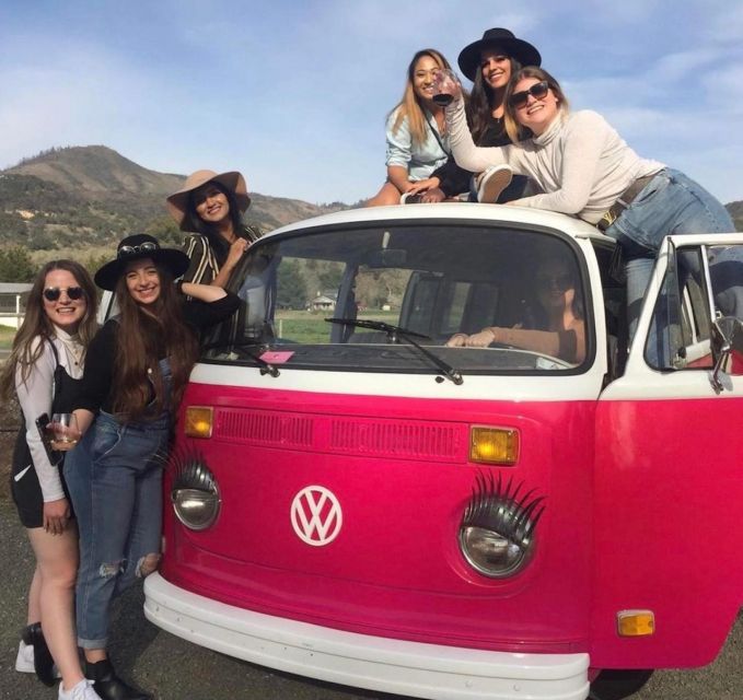 San Fransisco: Vintage VW Bus Wine Country Tour Small Group - Inside a Certified Organic Winery wine cave