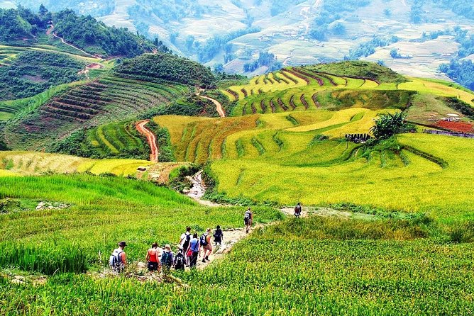 Sapa 2 Days 1 Night Tour From Hanoi By Bus (Hotel Overnight) - Hotel night, meals, and what is included