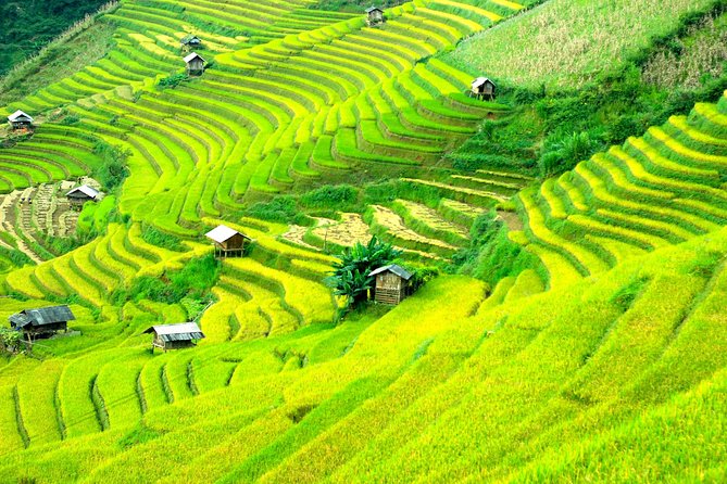 Sapa 2D1N Trekking to Giang Ta Chai Village from Hanoi by Bus - Guides and the group experience