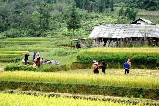 Sapa 3 Days Trekking Tour By Bus from Hanoi (2 Nights in Hotel) - How difficult is the trekking?