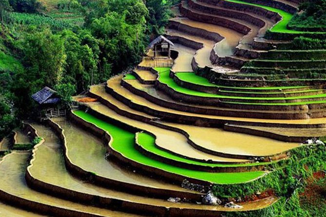 Sapa Hard Trekking by Bus for 2 days - The early coach from Hanoi to Sapa
