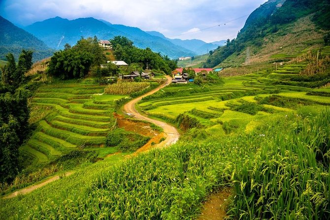 Sapa trekking 2days by bus from Hanoi ( over night in homestay) - Morning paths through bamboo forest and rice fields