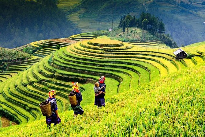 Sapa trekking 2days by bus from Hanoi ( over night in homestay) - Sapa town and the first walk to Lao Chai