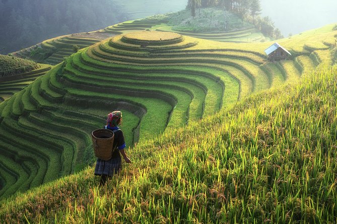 Sapa Trekking 3 Days 2 Nights by Bus - Homestay & Hotel - Y Linh Ho and Lao Chai on day two