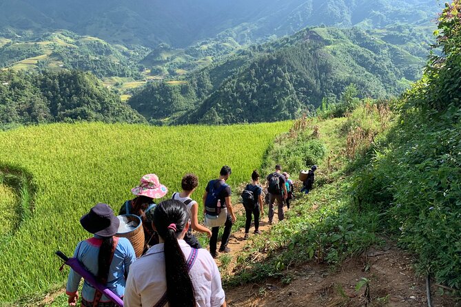 Sapa Trekking Tour 2 Days 1 Night By Bus - Choosing between a hotel and a village homestay