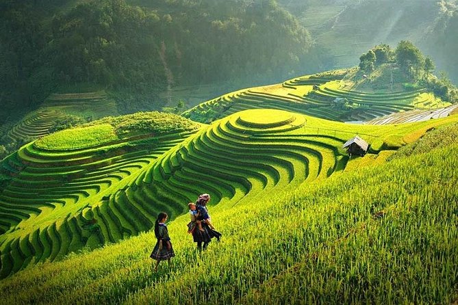 Sapa Trekking Tour 2 Days 1 Night By Bus - The village experience and local culture