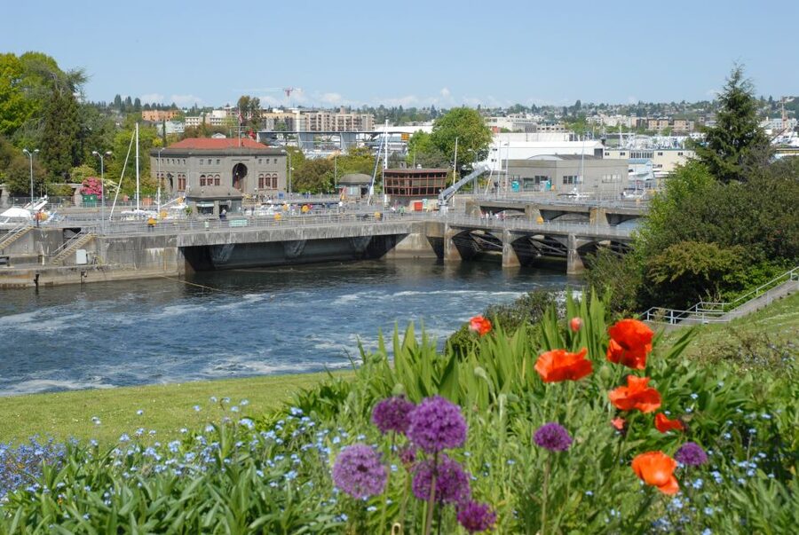 Seattle: 3-Hour City Tour by Bus - The guides are a major part of the value