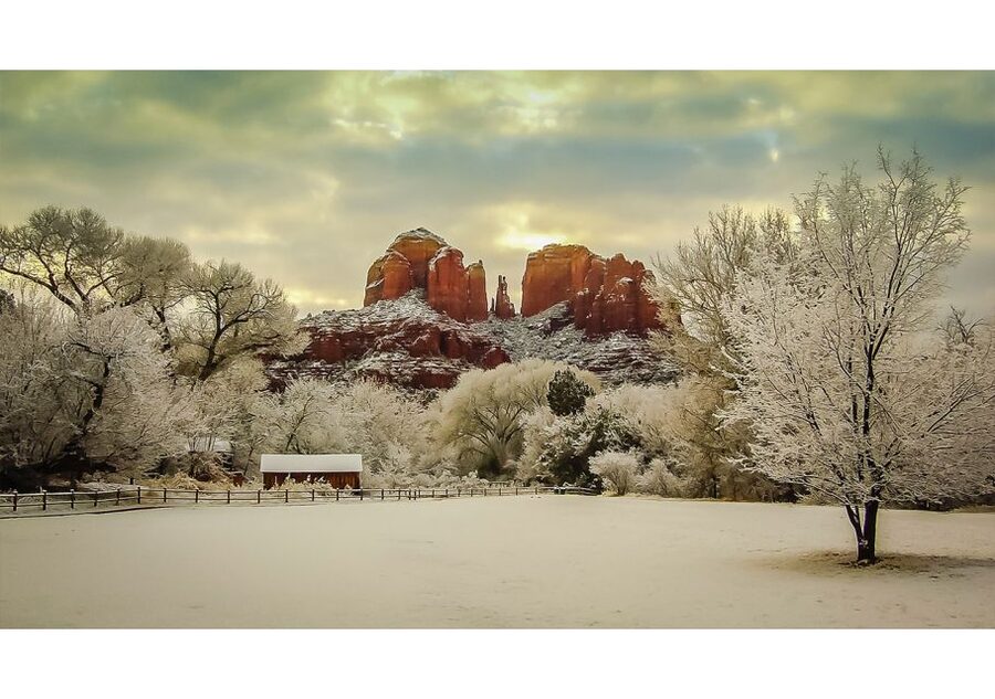 Sedona Mini Coach Tour - Comfort, seating, and the practical details