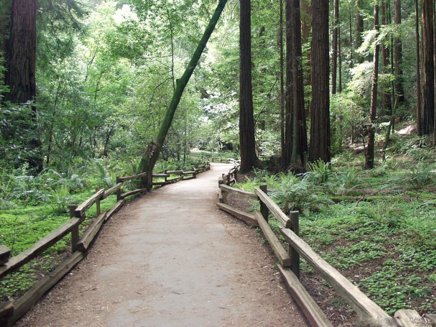 SF: Guided Muir Woods Tour & Hop-On Hop-Off Tour (Save 15%) - Is $140 a fair price?