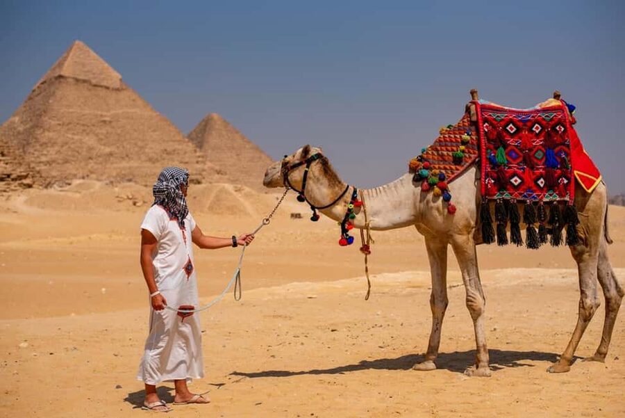 Sharm El-Sheikh: Full-Day Tour of Cairo and Pyramids by Bus - The Egyptian Museum in Tahrir Square